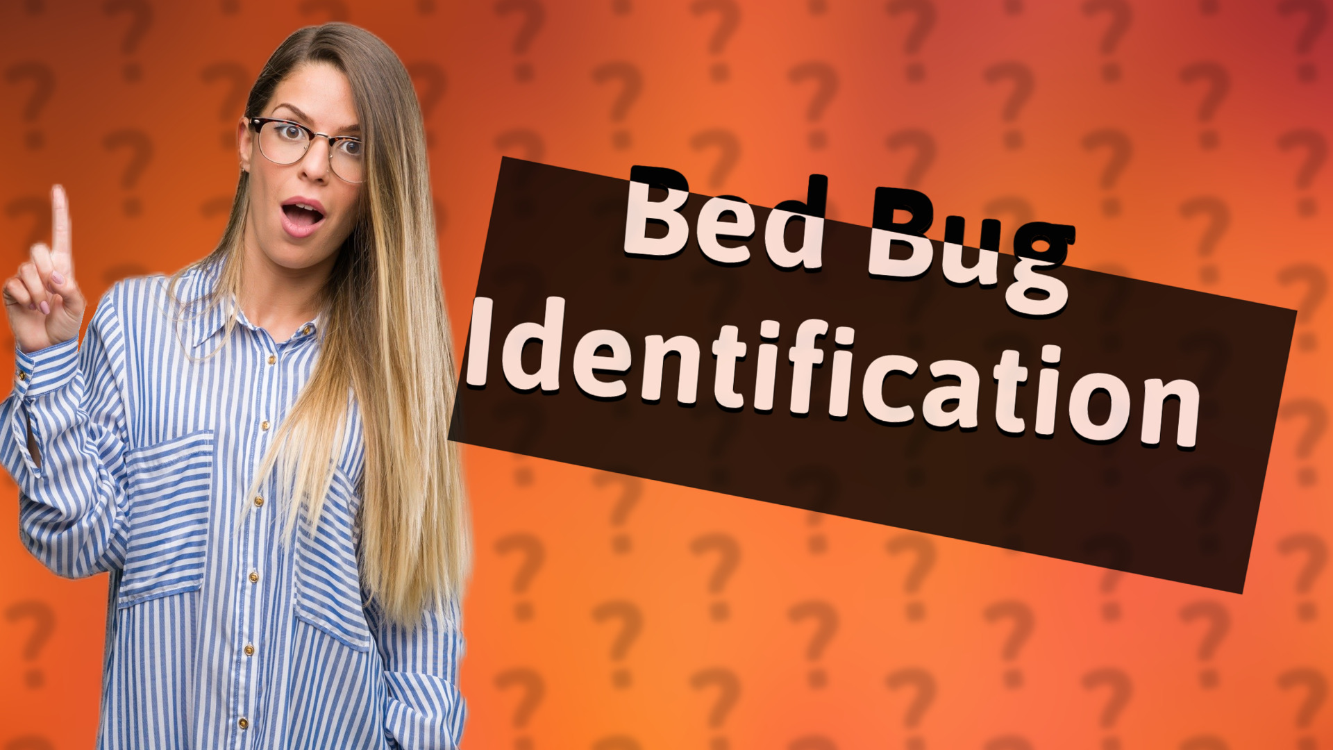 Bed Bug Identification