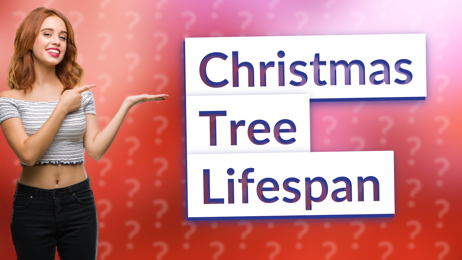 Christmas Tree Lifespan