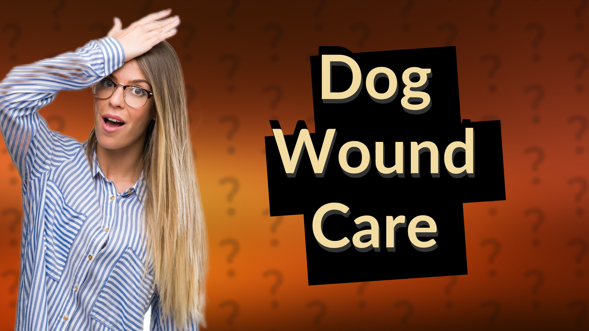 Dog Wound Care