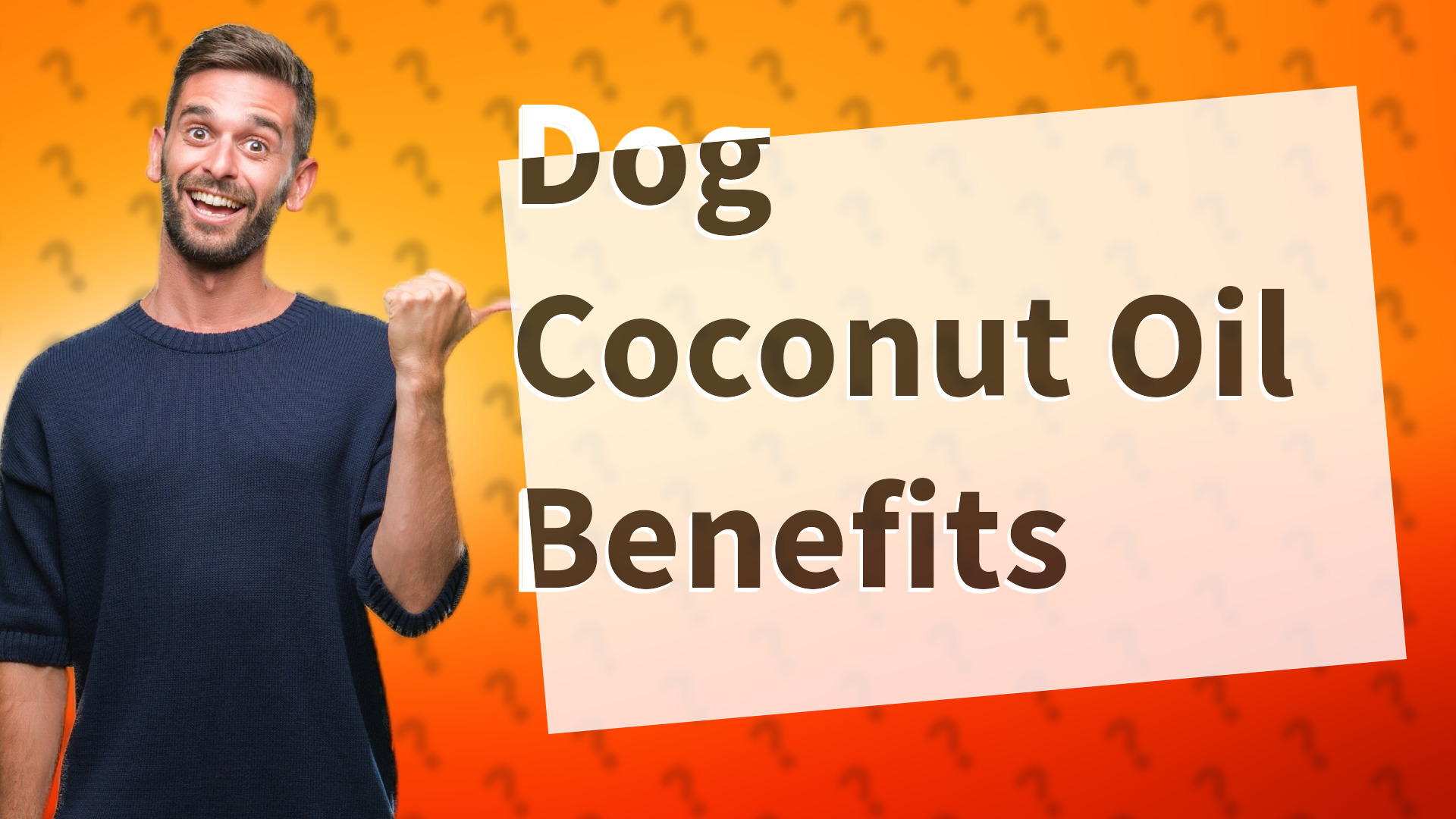 Dog Coconut Oil Benefits