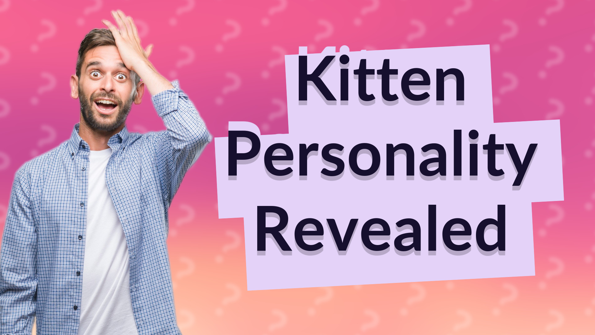 Kitten Personality Revealed