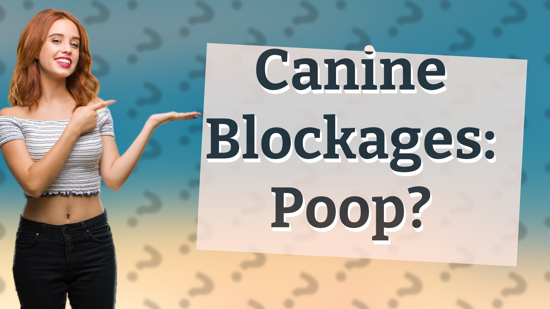 Canine Blockages: Poop?