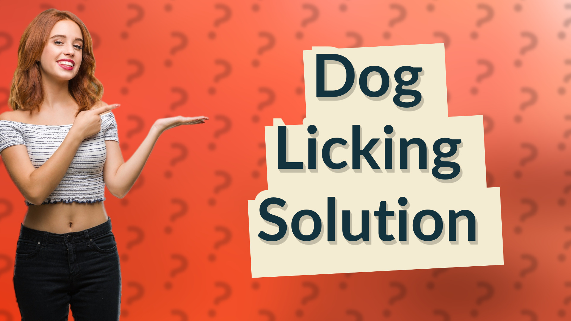 Dog Licking Solution
