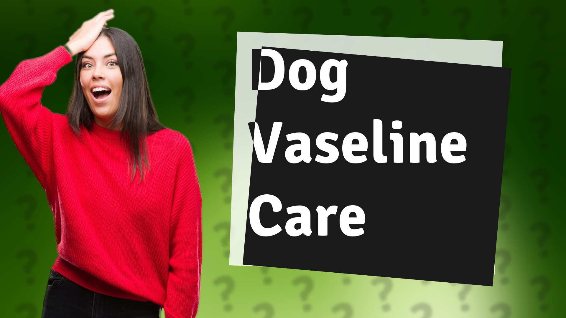Dog Vaseline Care