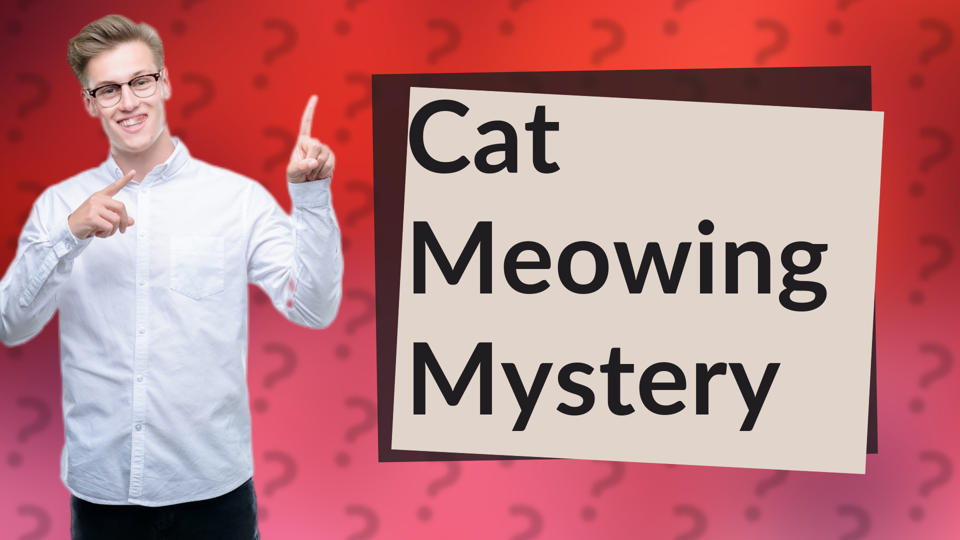 Cat Meowing Mystery