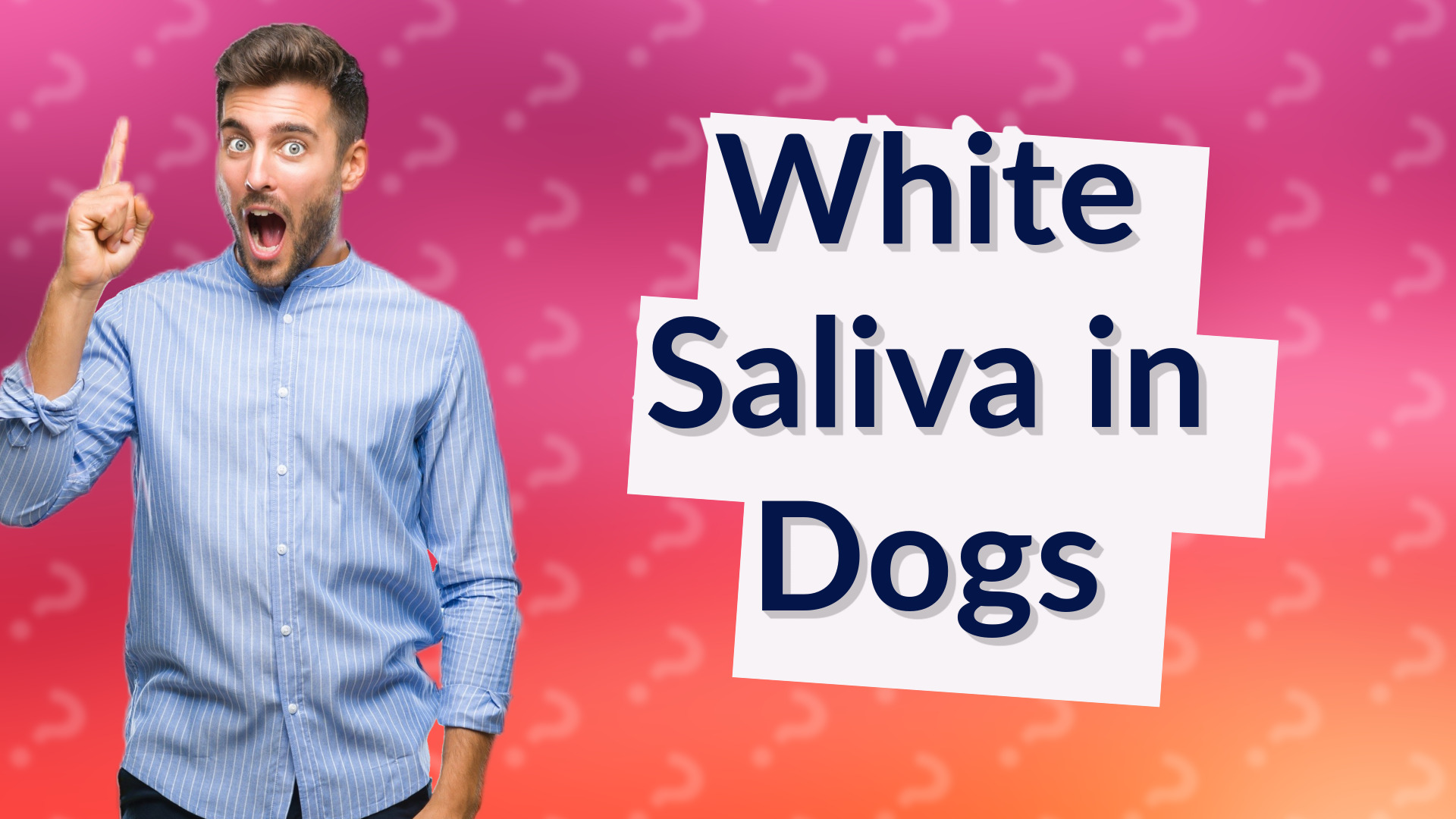 White Saliva in Dogs