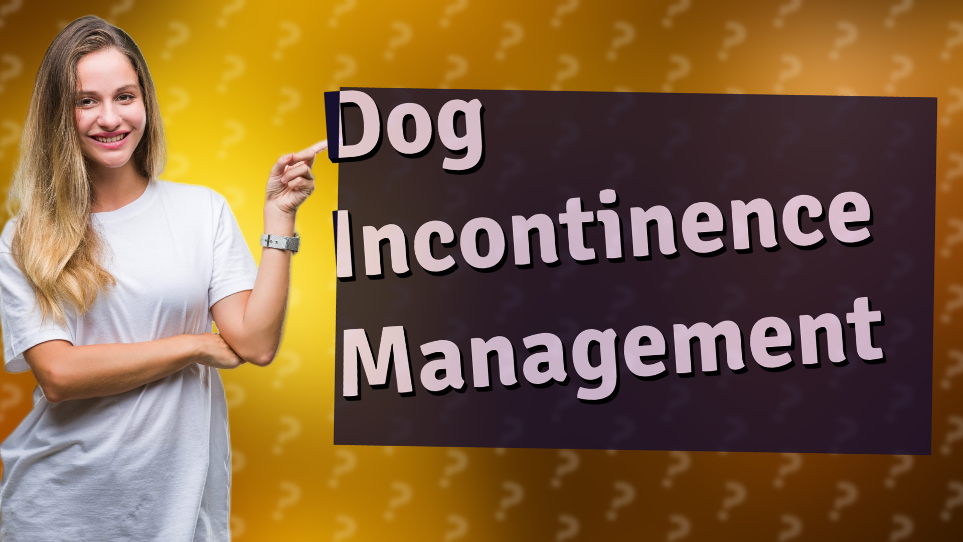Dog Incontinence Management
