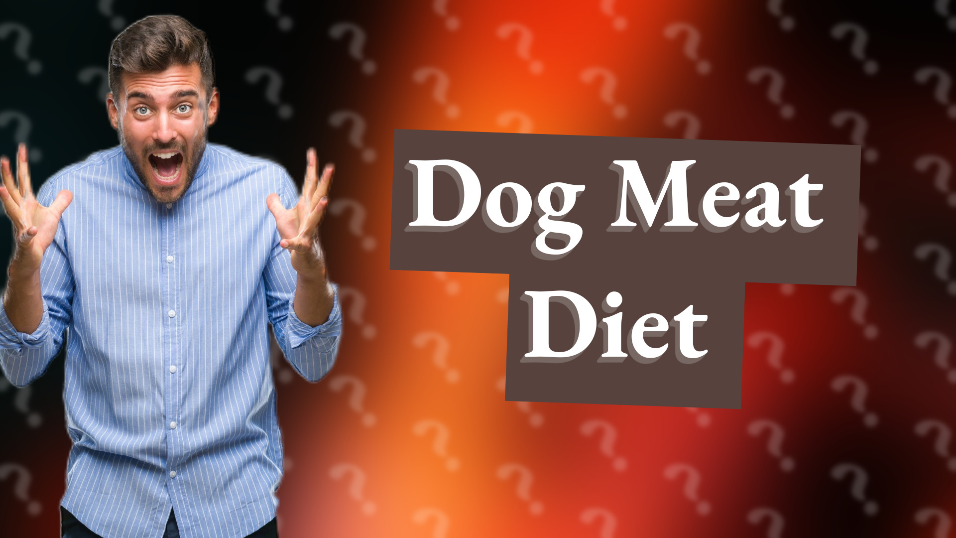 Dog Meat Diet