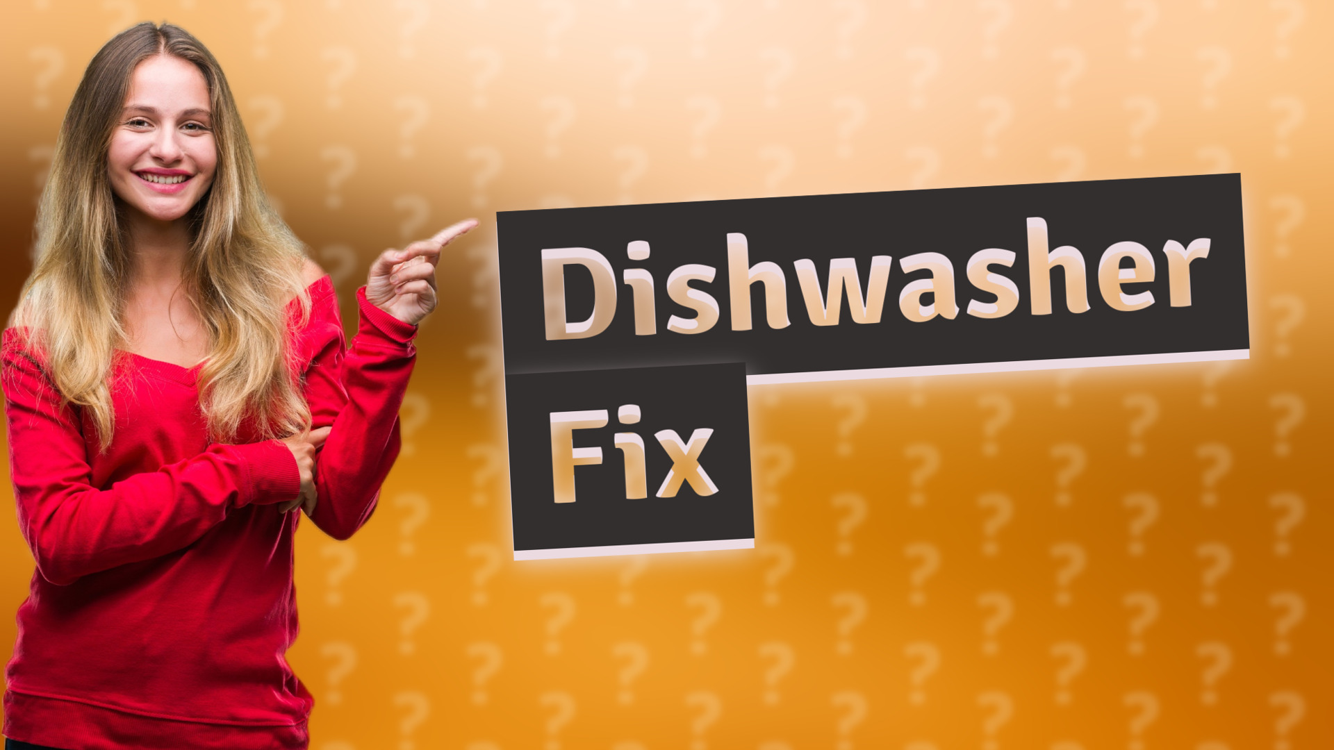 Dishwasher Fix