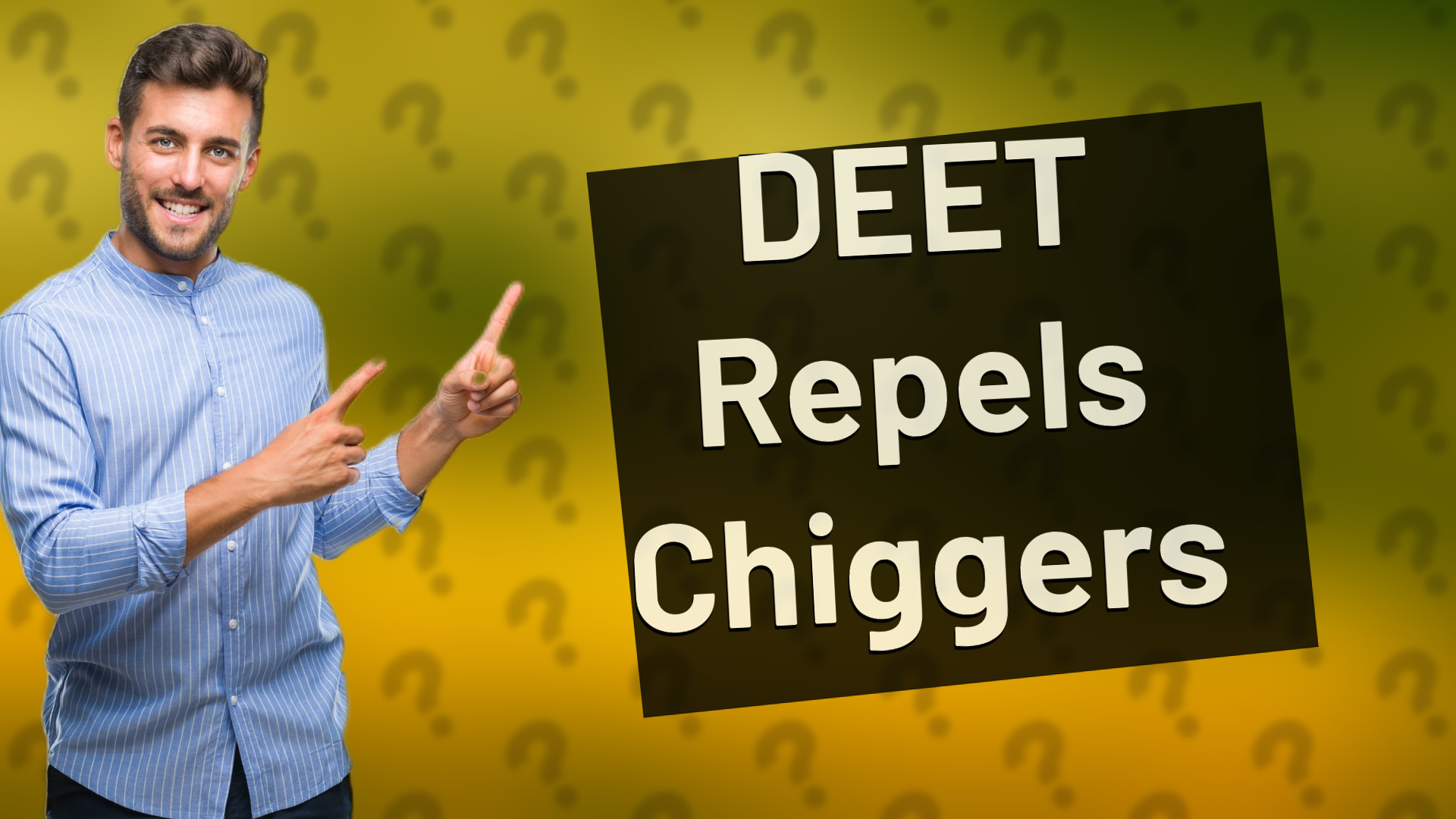 DEET Repels Chiggers