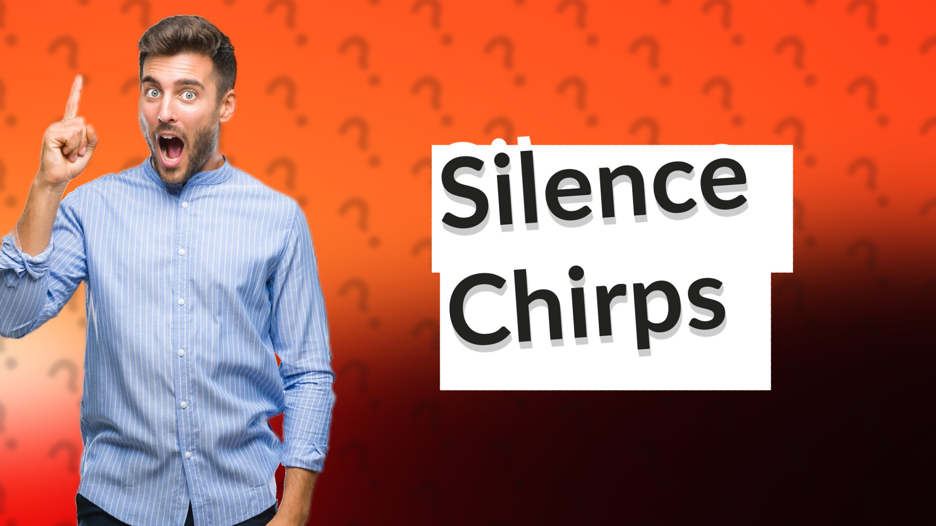 Silence Chirps