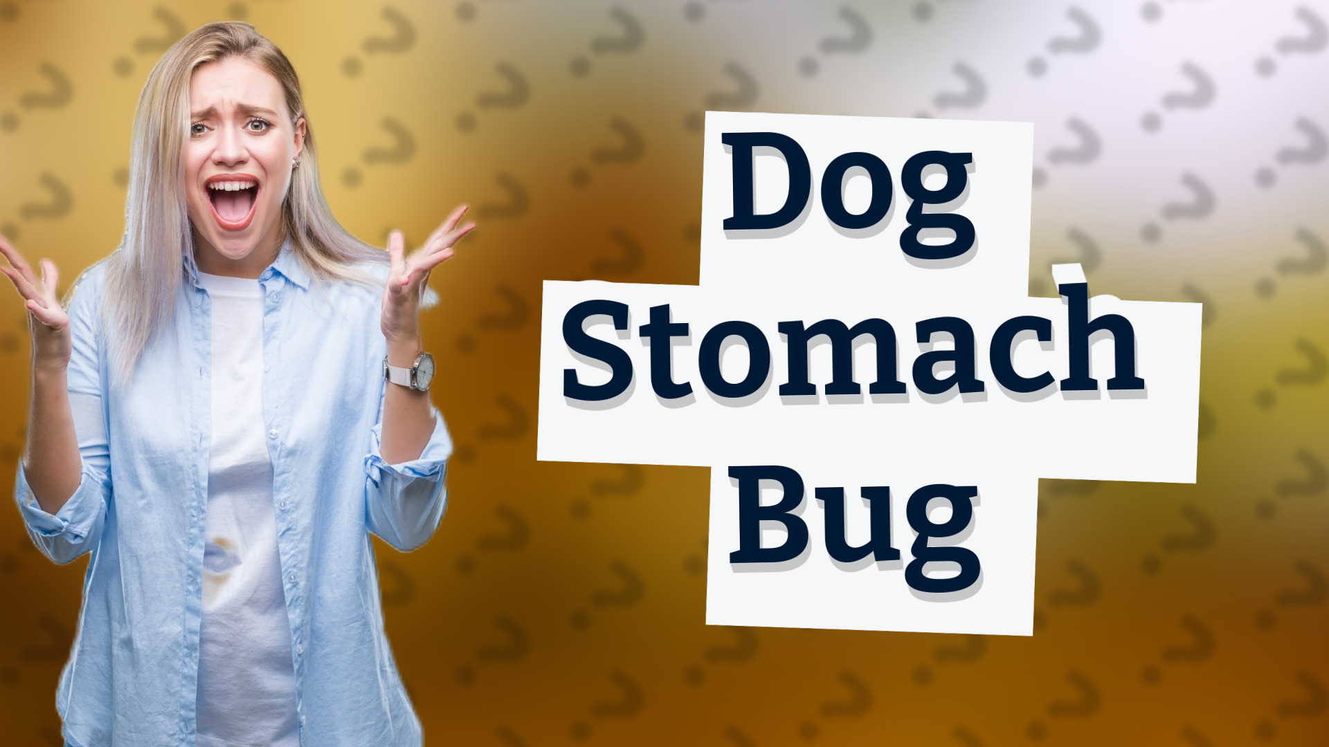 Dog Stomach Bug