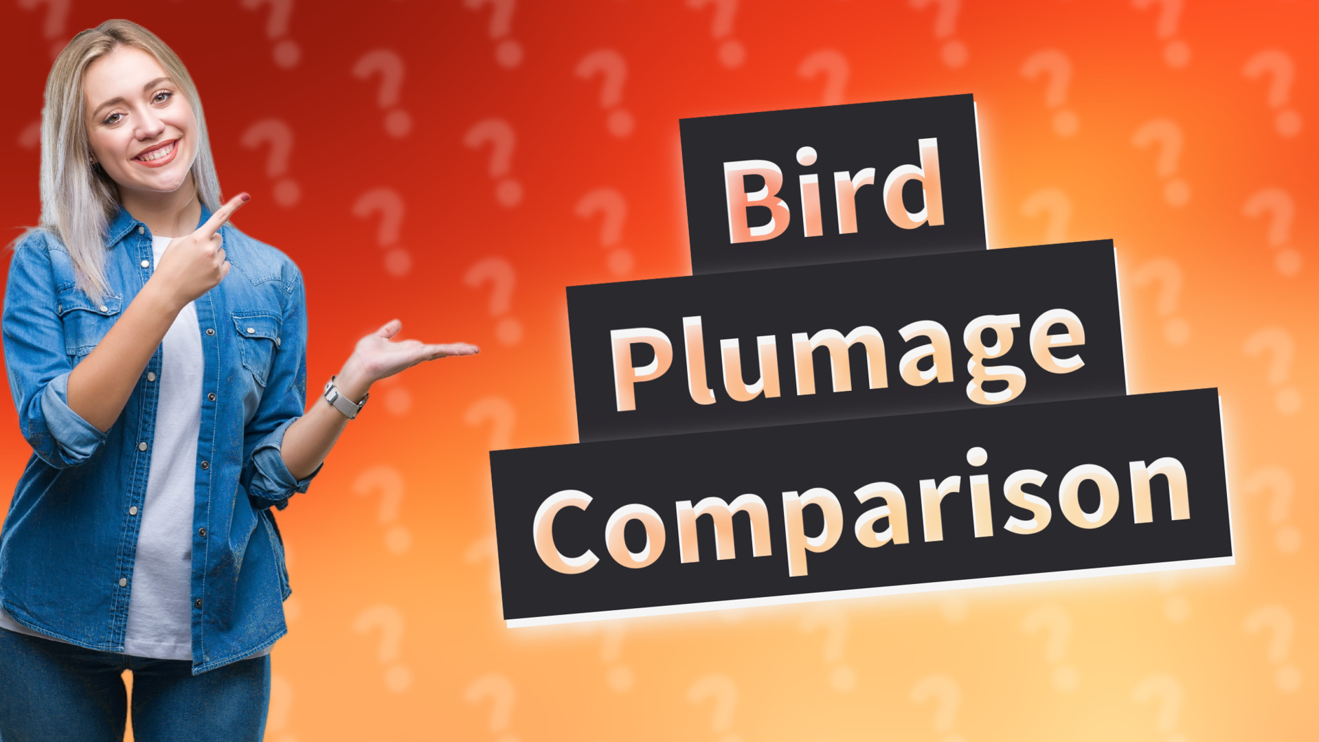Bird Plumage Comparison