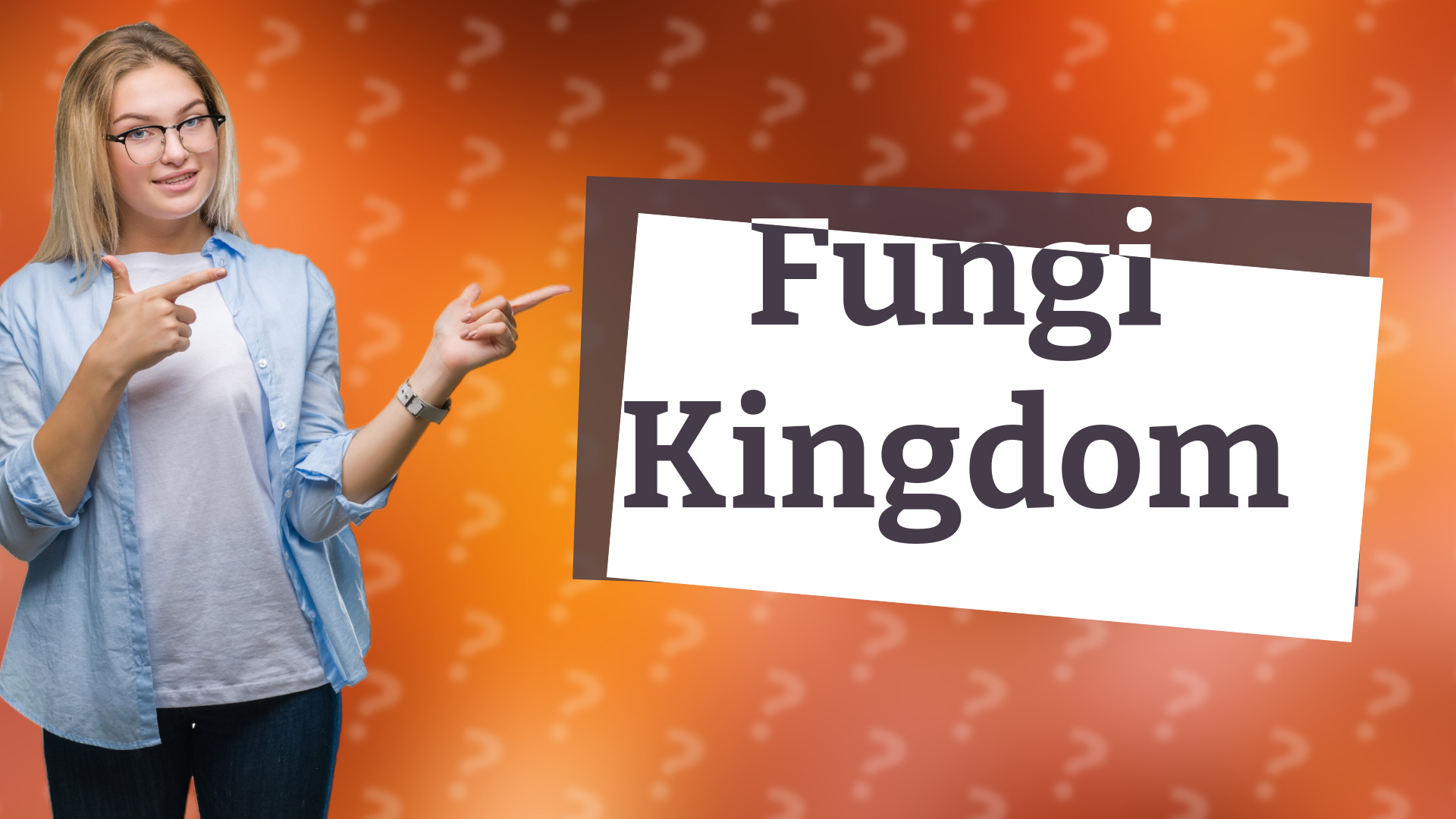 Fungi Kingdom