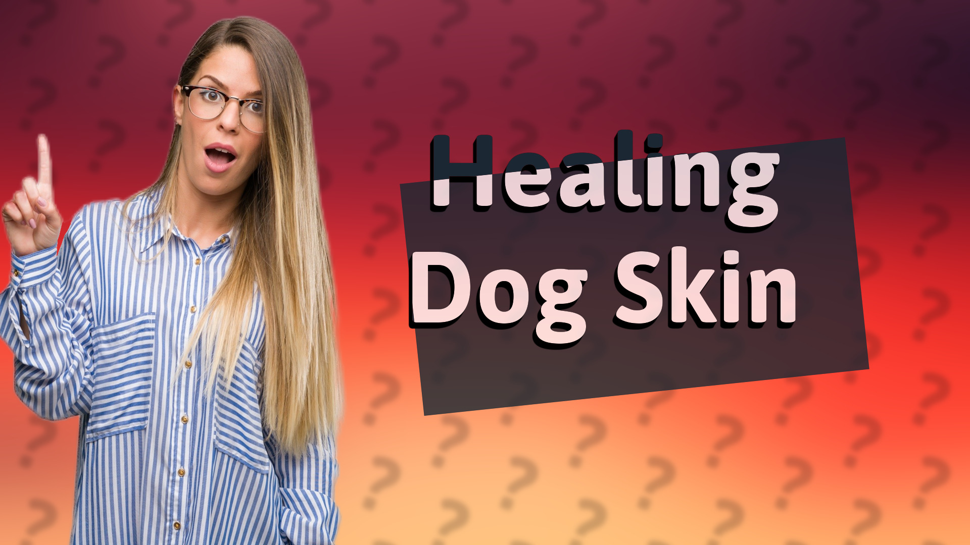 Healing Dog Skin