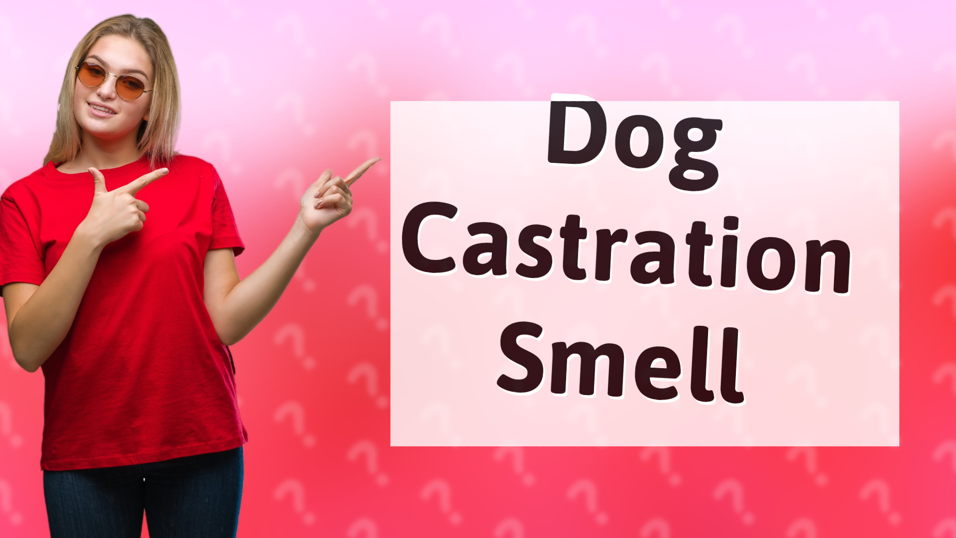 Dog Castration Smell
