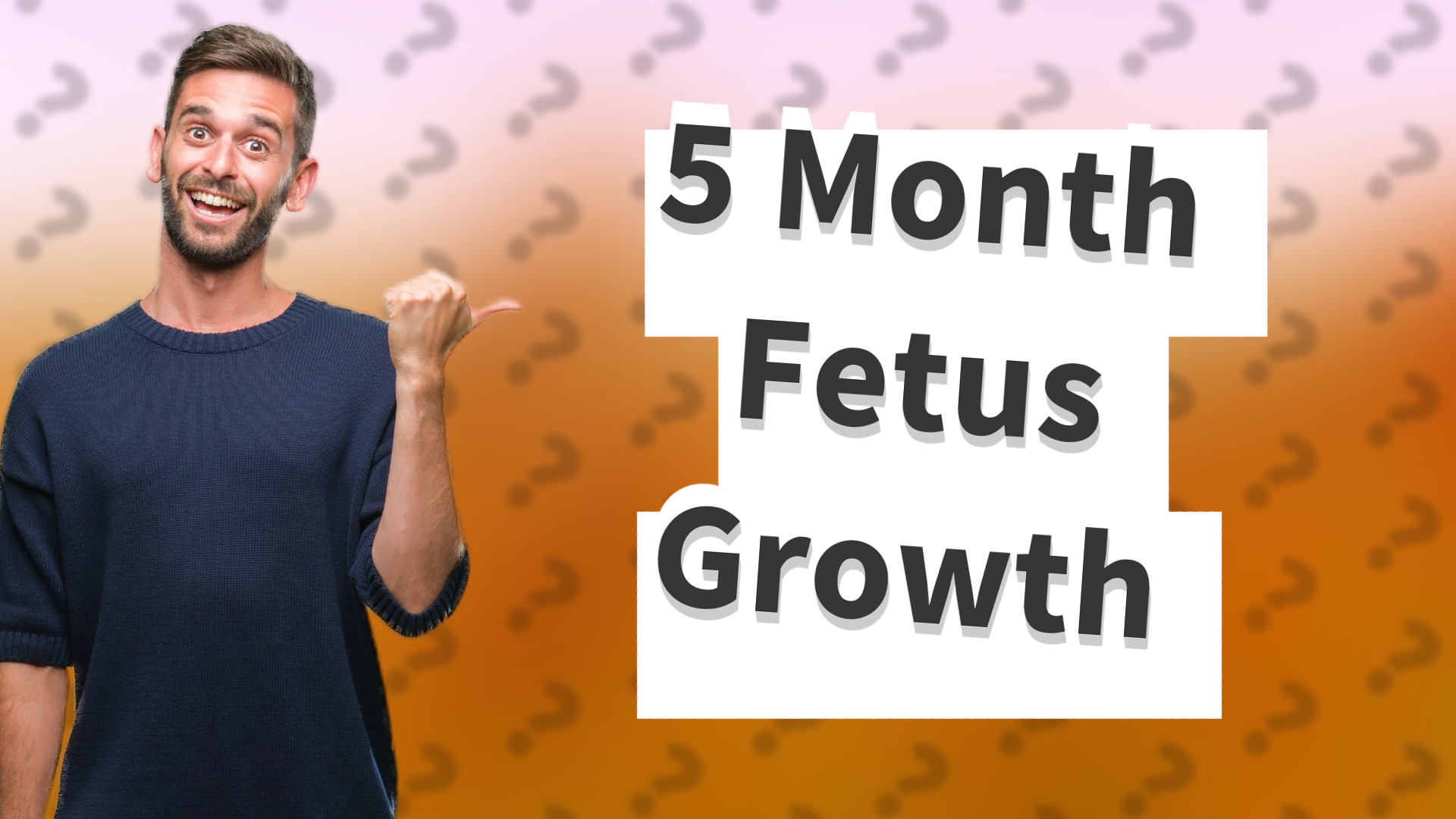 5 Month Fetus Growth