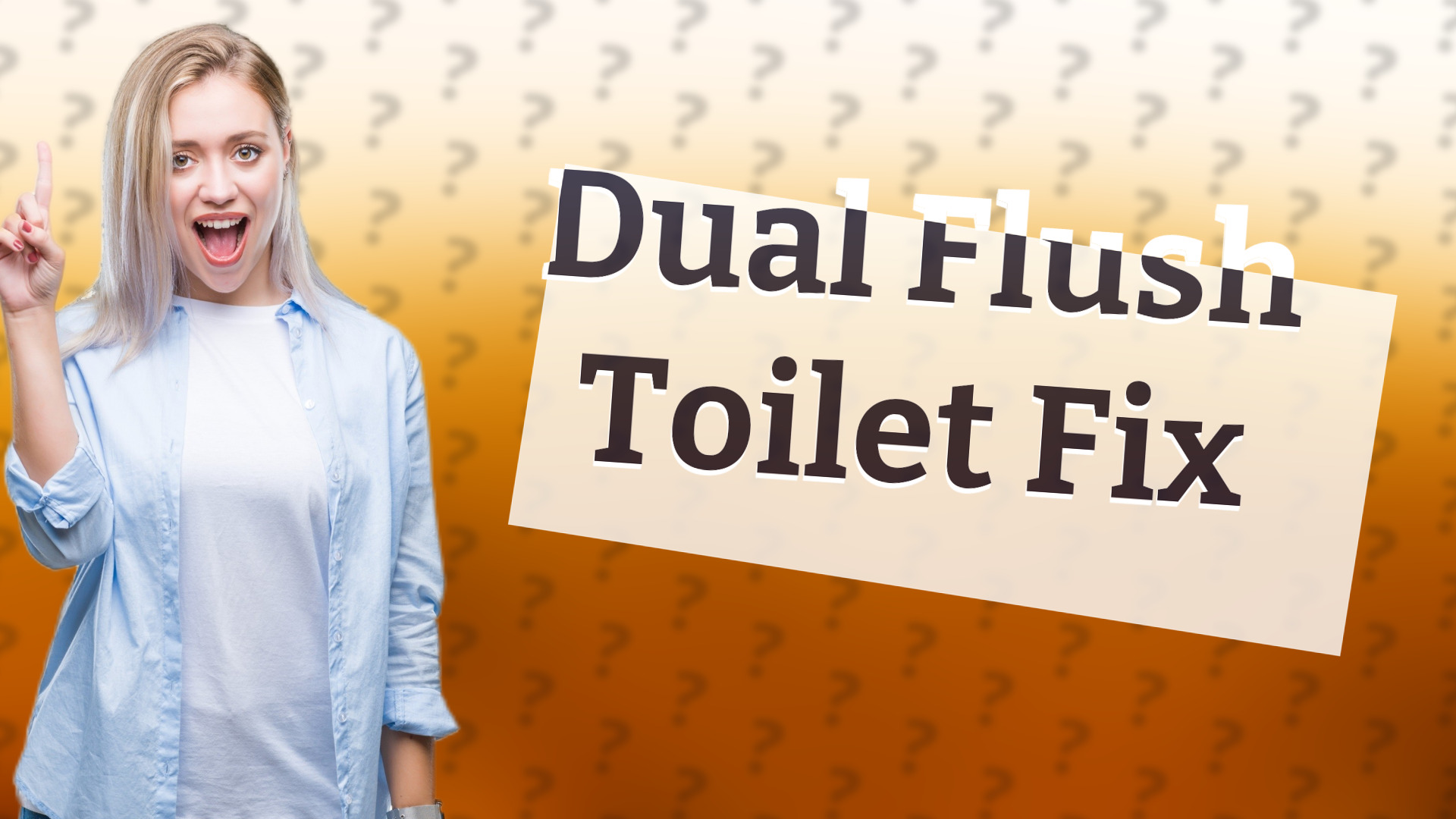 Dual Flush Toilet Fix