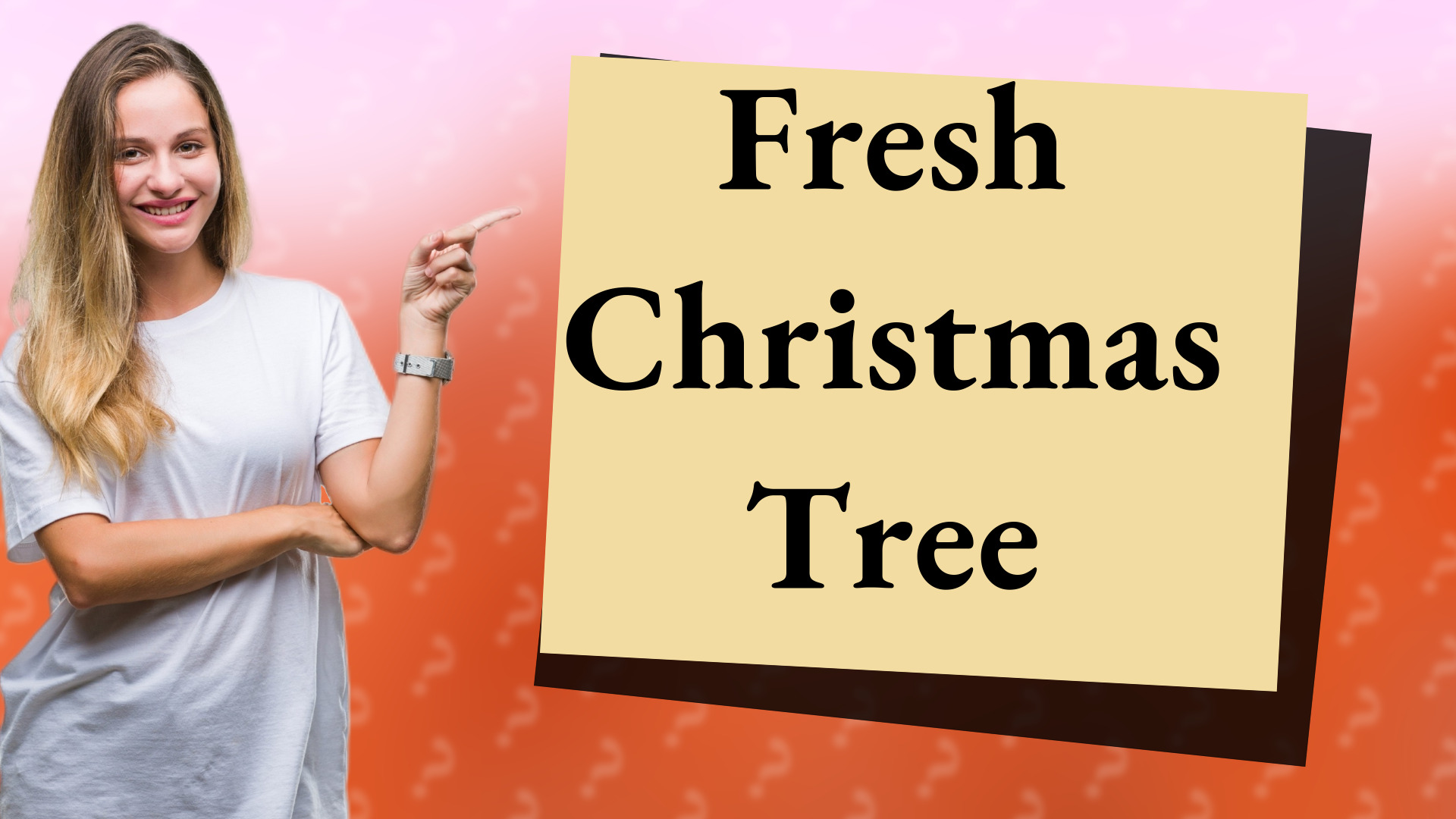 Fresh Christmas Tree