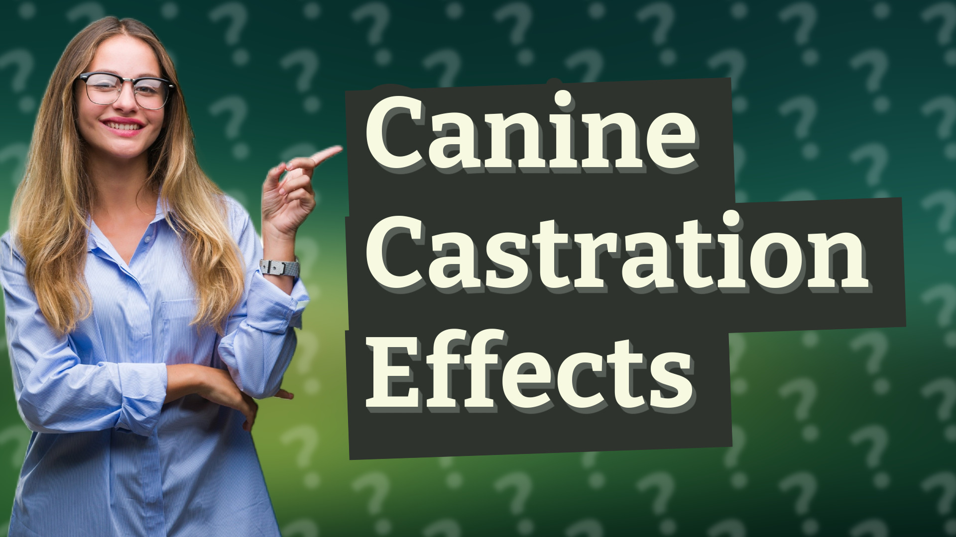 Canine Castration Effects