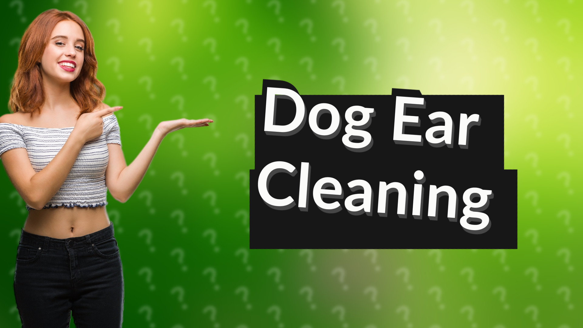 Dog Ear Cleaning