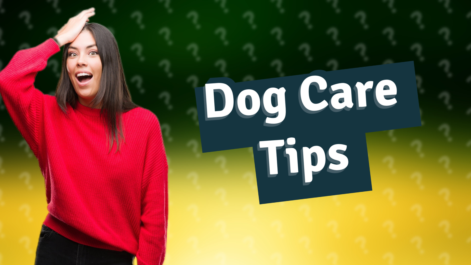 Dog Care Tips