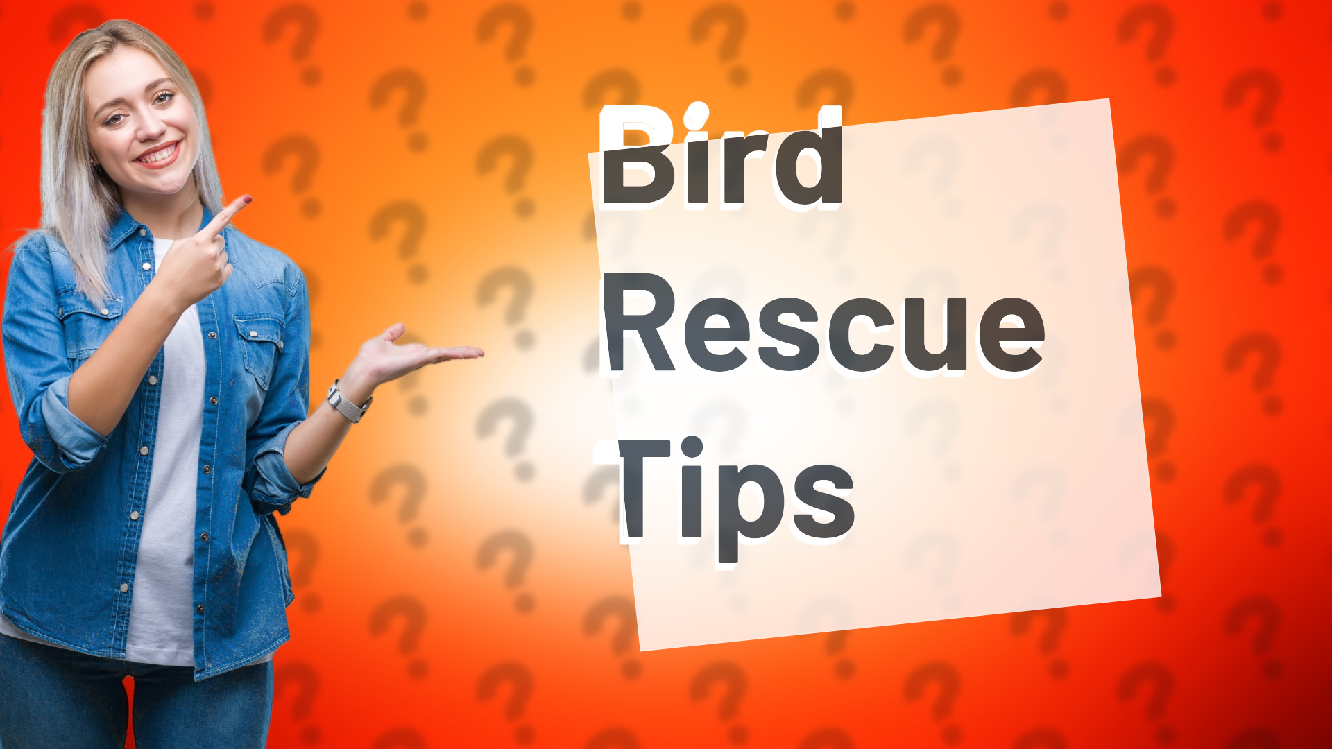 Bird Rescue Tips
