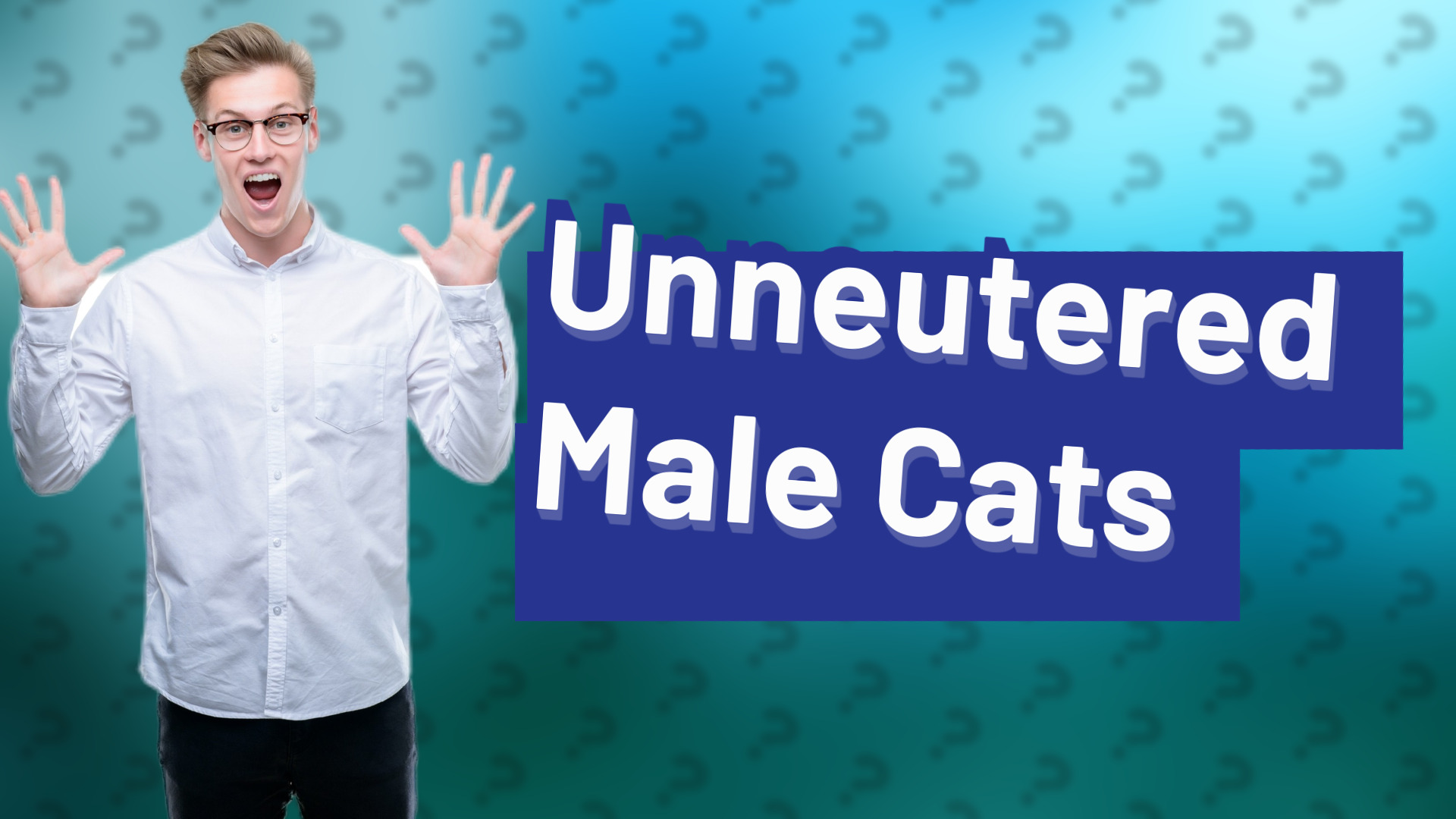 Unneutered Male Cats