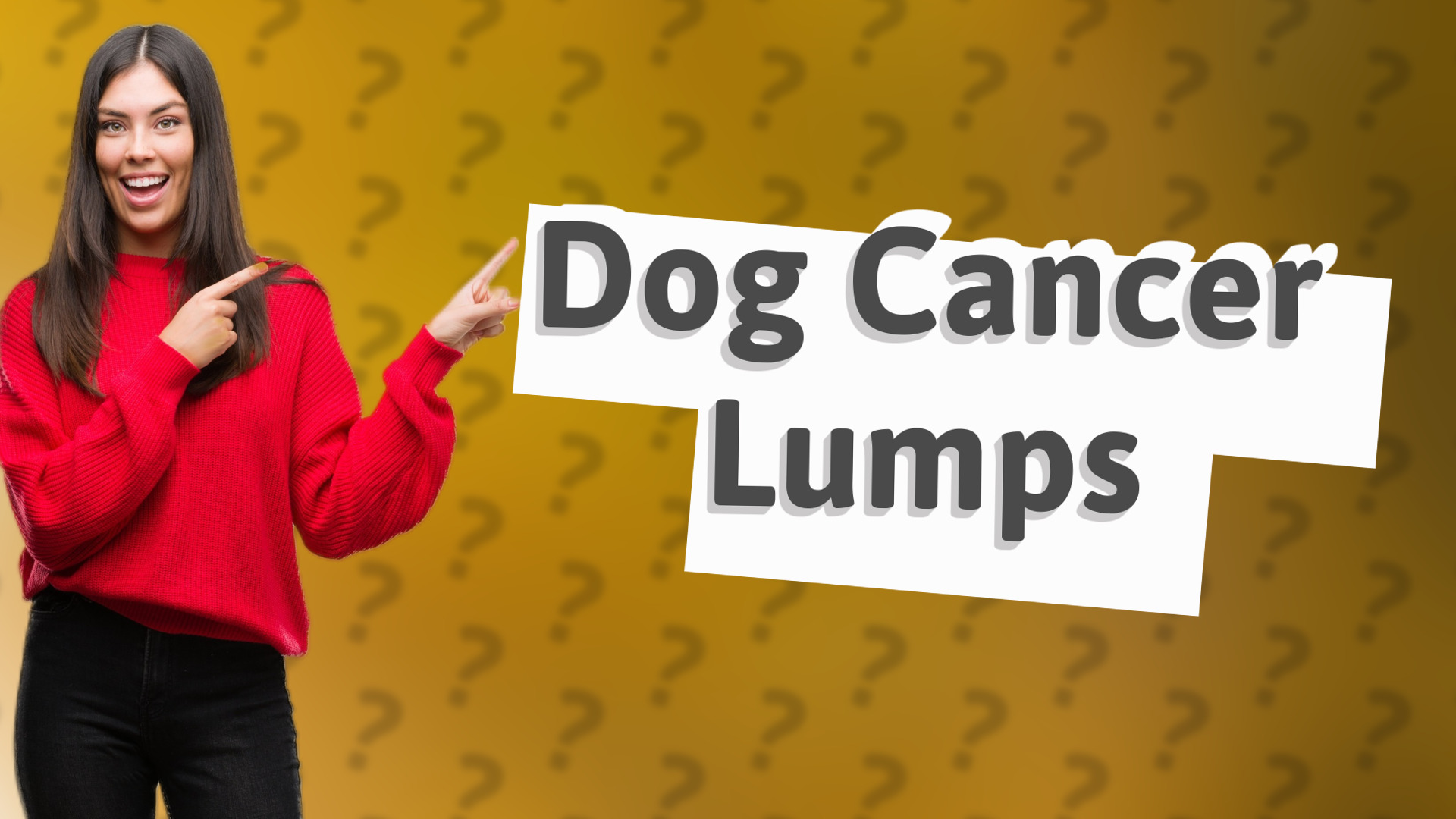 Dog Cancer Lumps