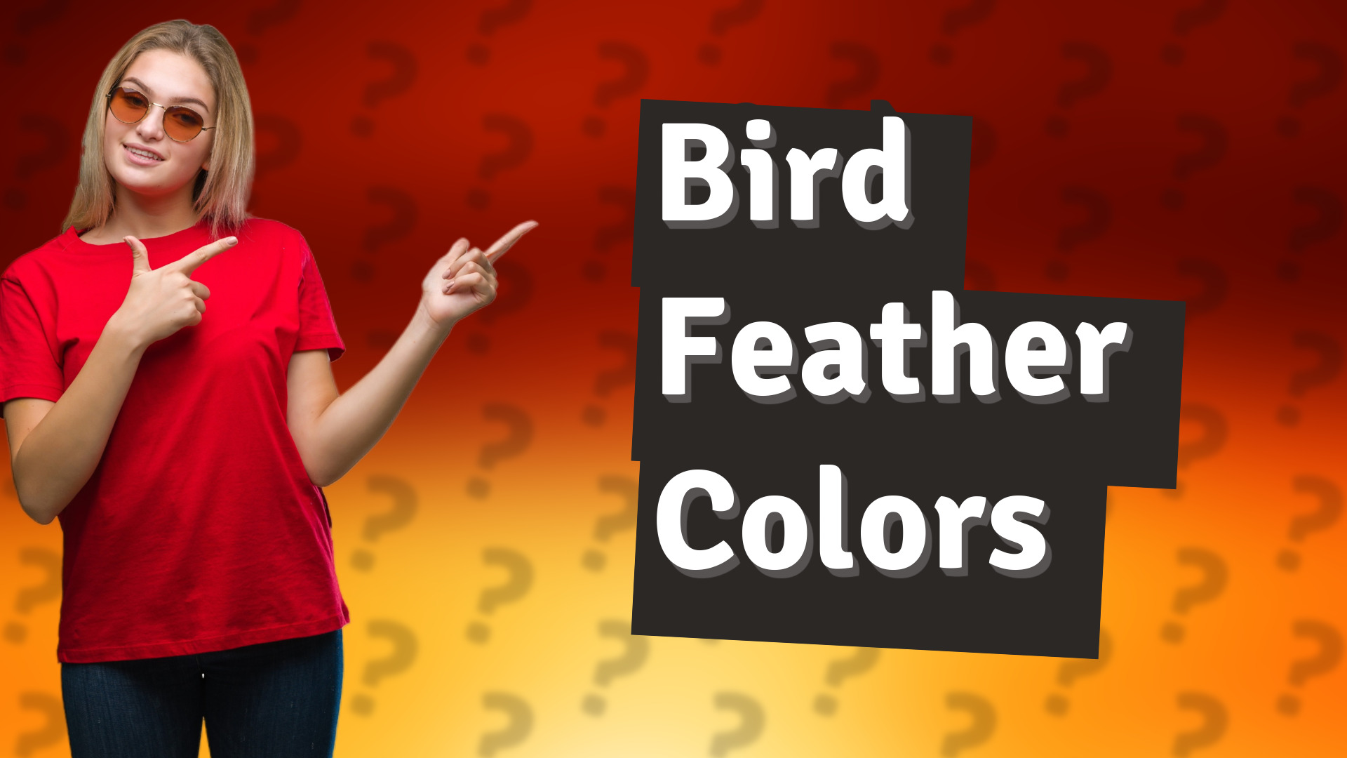 Bird Feather Colors
