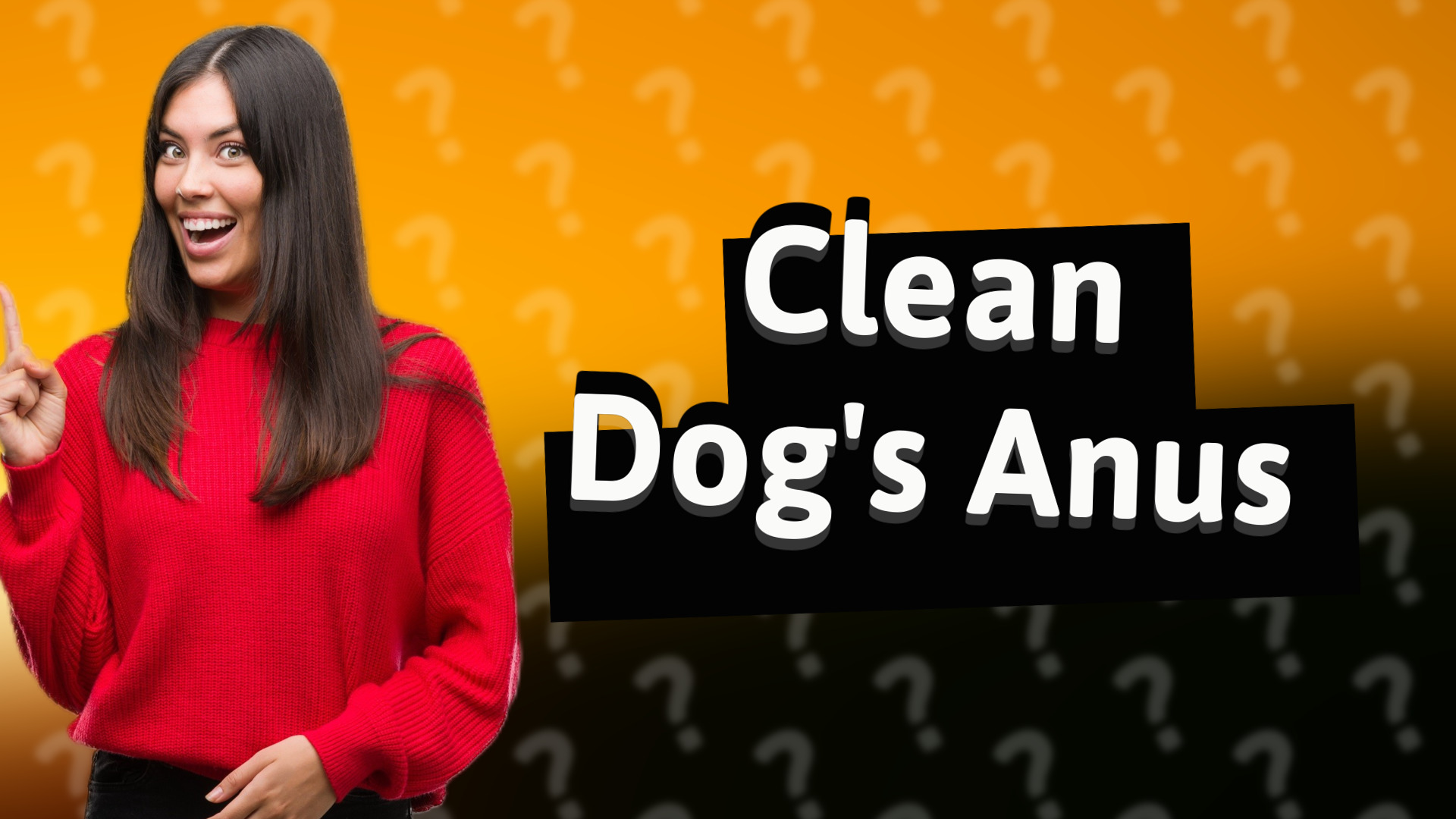 Clean Dog's Anus