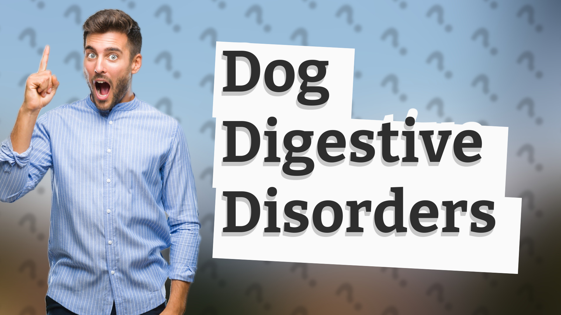 Dog Digestive Disorders