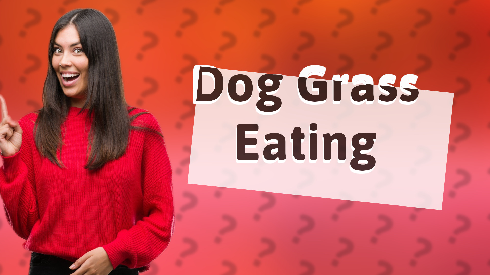 Dog Grass Eating