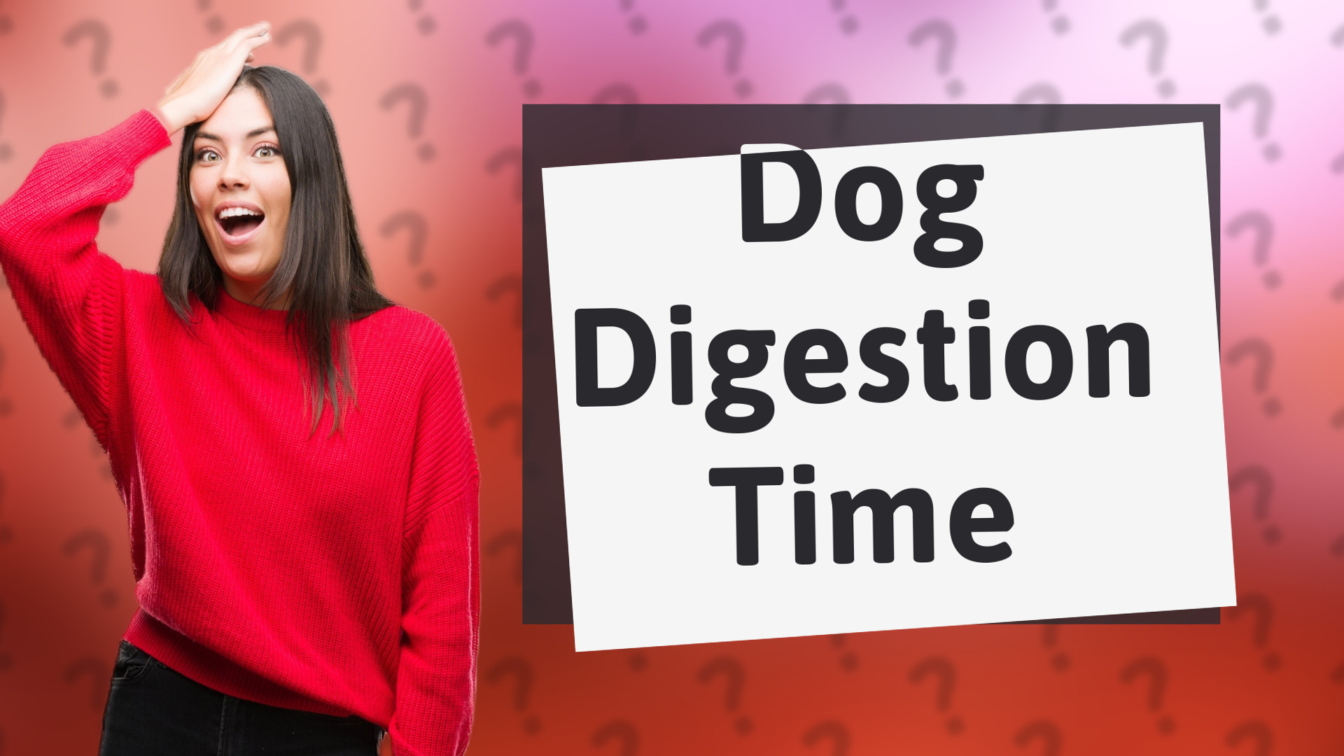 Dog Digestion Time