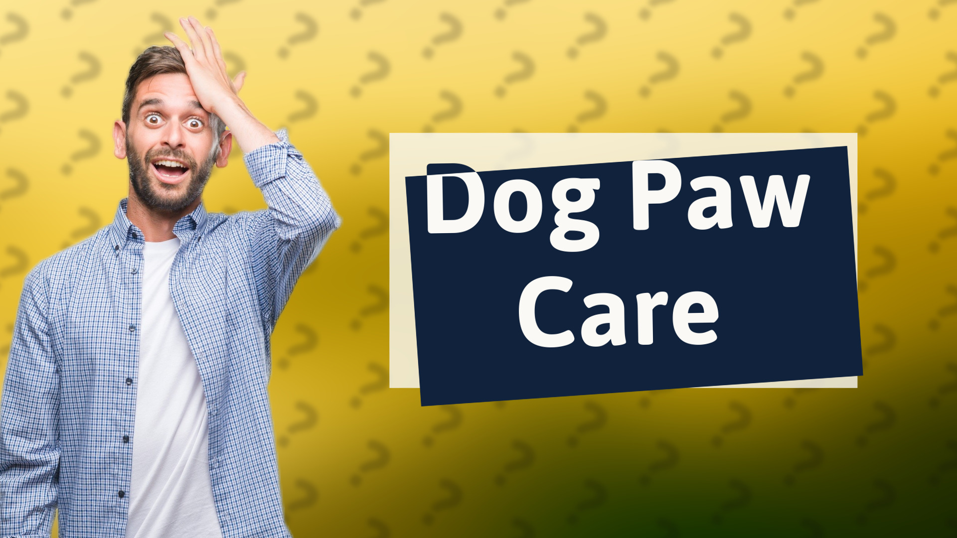 Dog Paw Care