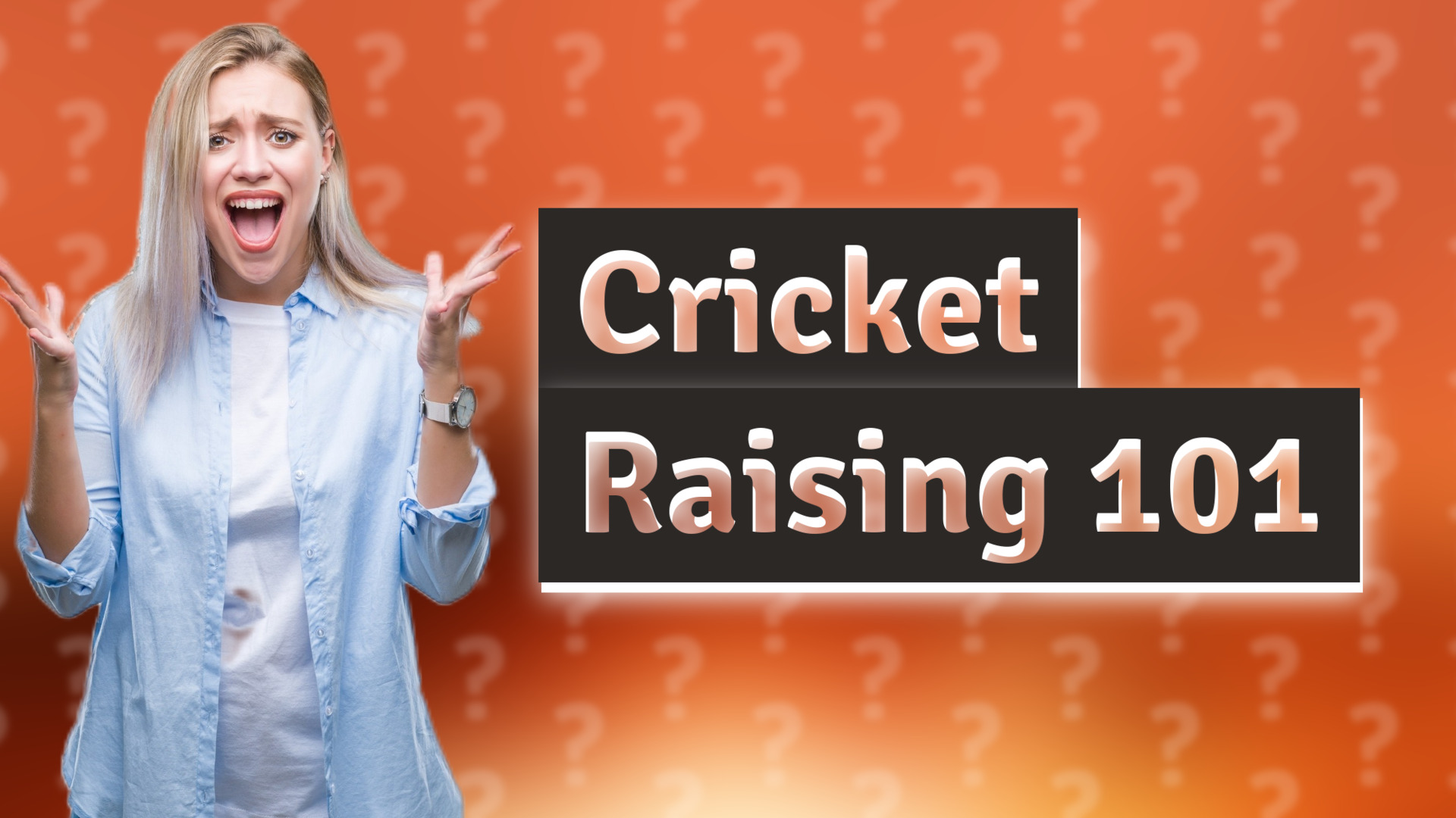 Cricket Raising 101
