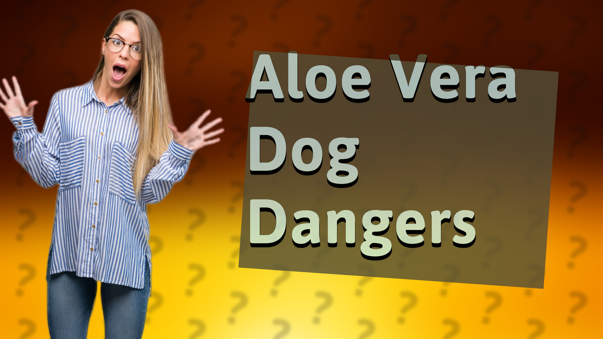 Aloe Vera Dog Dangers
