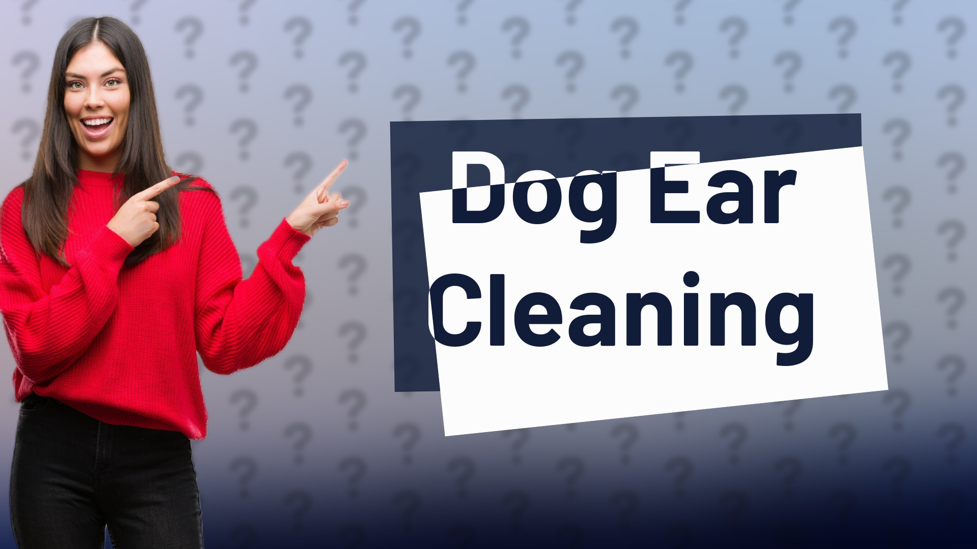 Dog Ear Cleaning