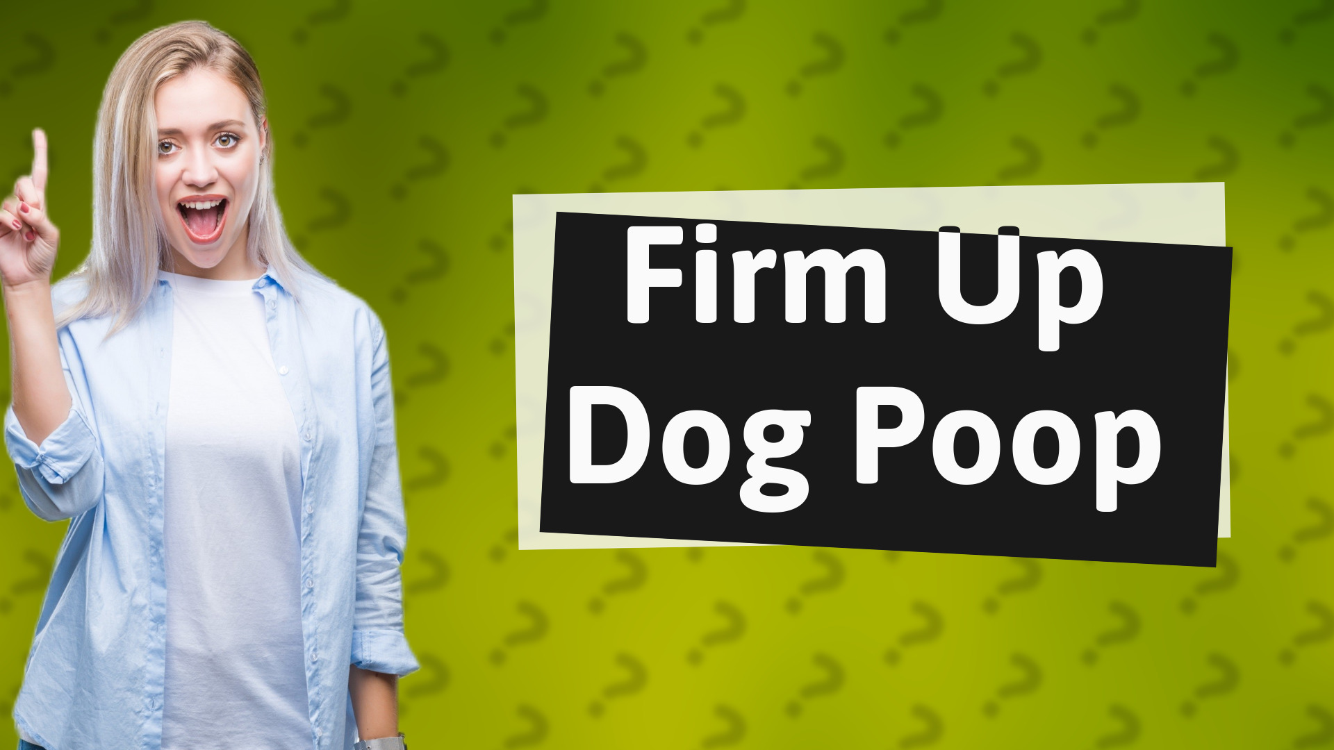 Firm Up Dog Poop
