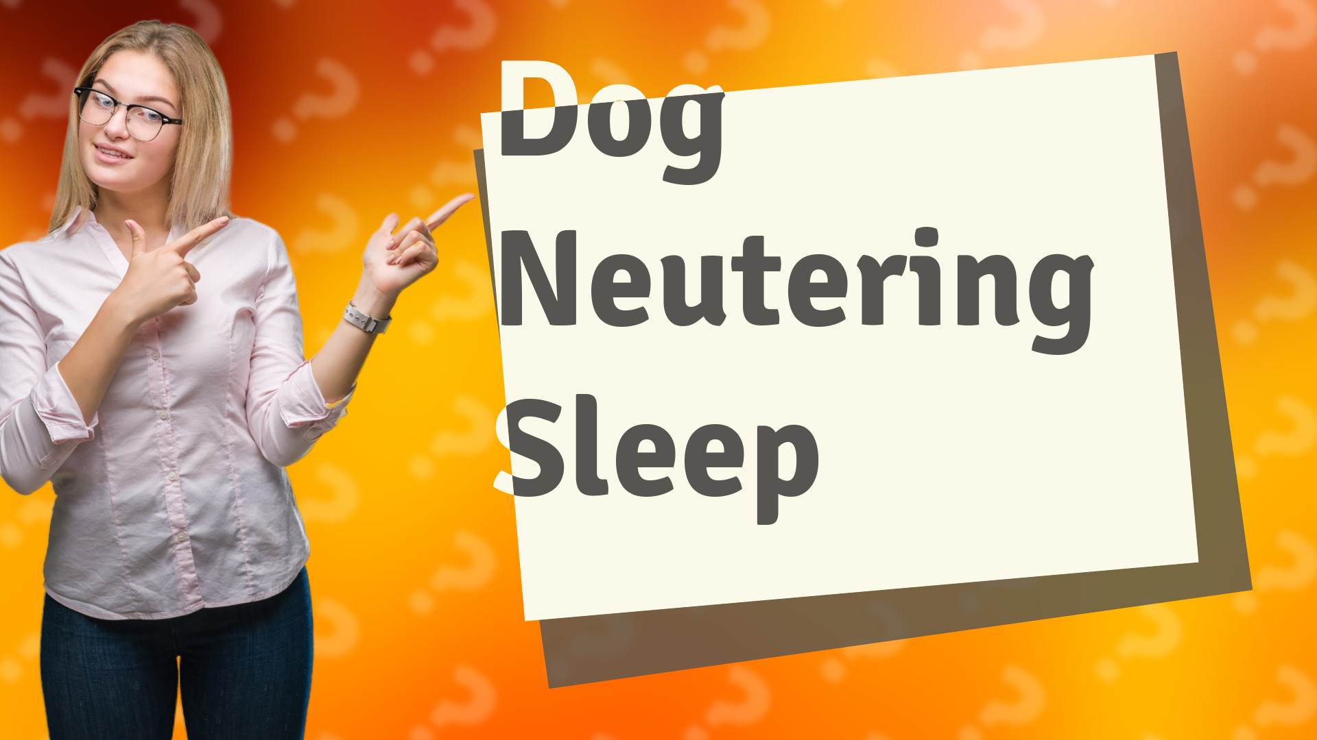 Dog Neutering Sleep