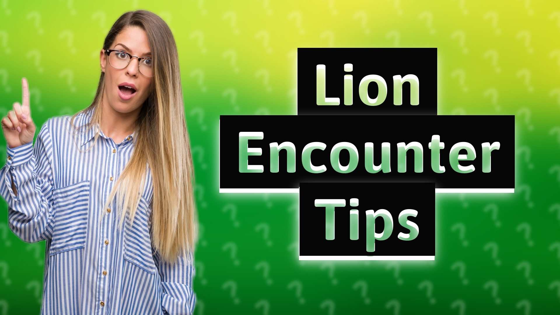 Lion Encounter Tips