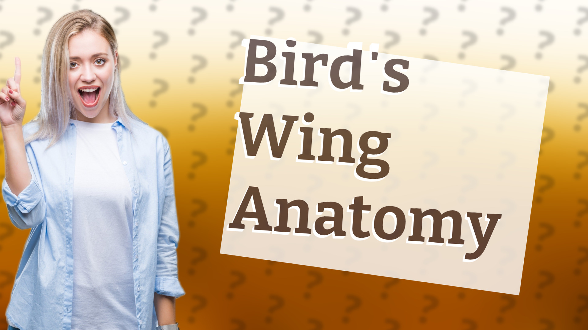 Bird's Wing Anatomy