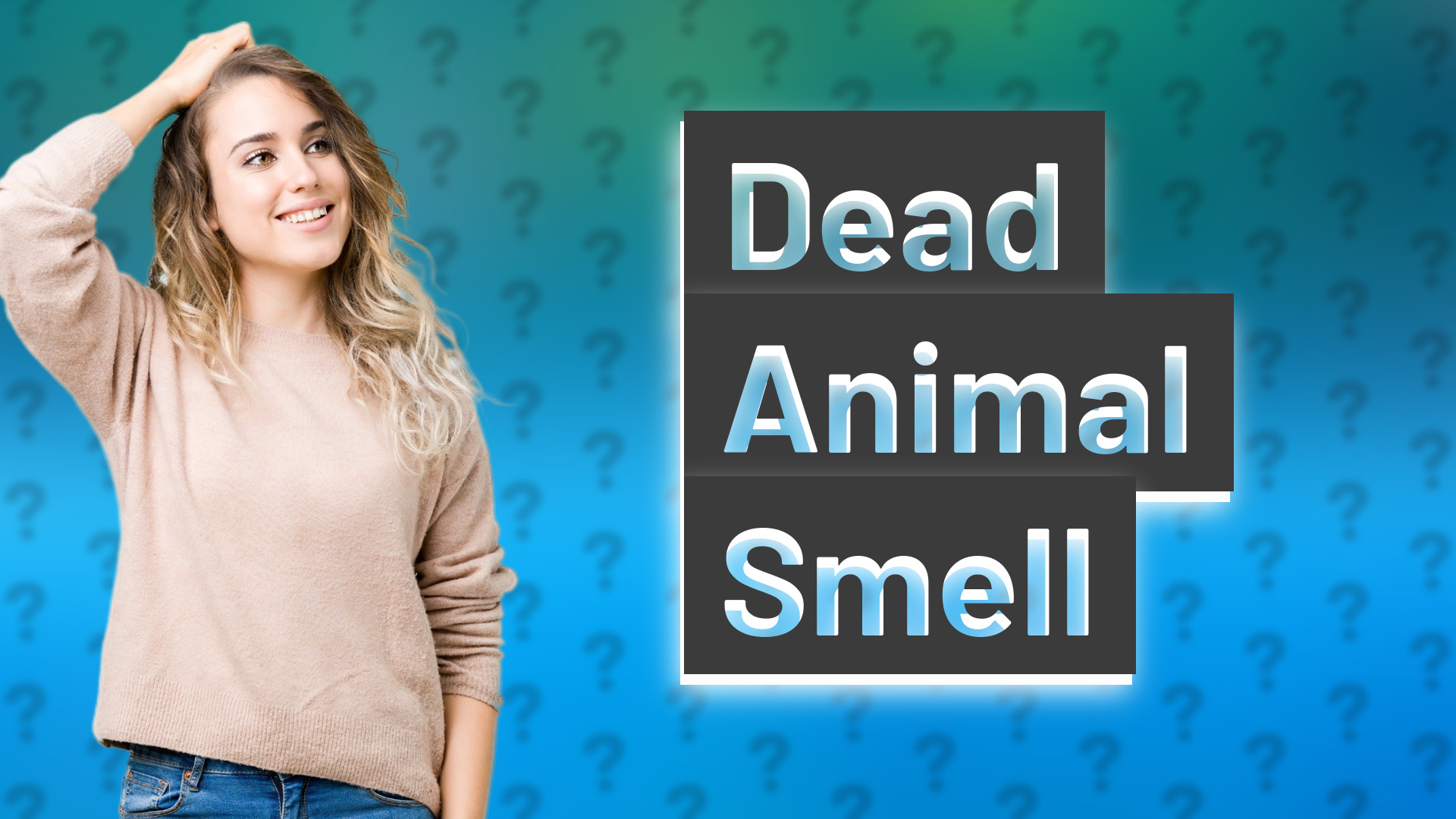 Dead Animal Smell