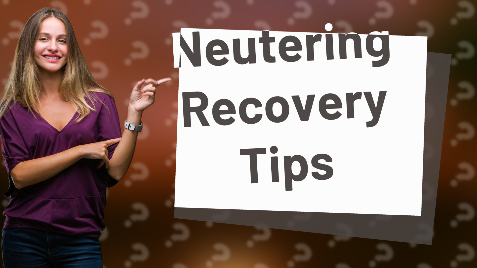 Neutering Recovery Tips