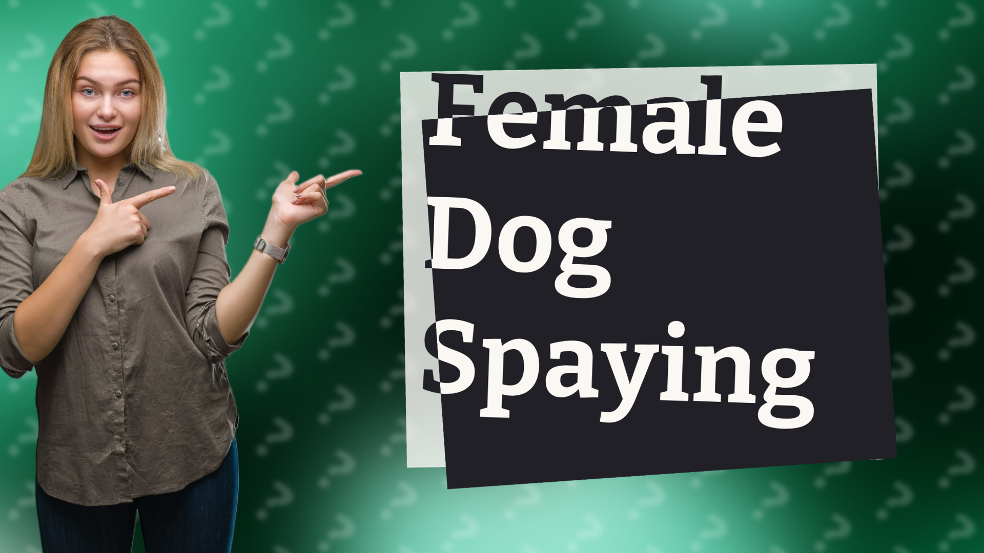 Female Dog Spaying
