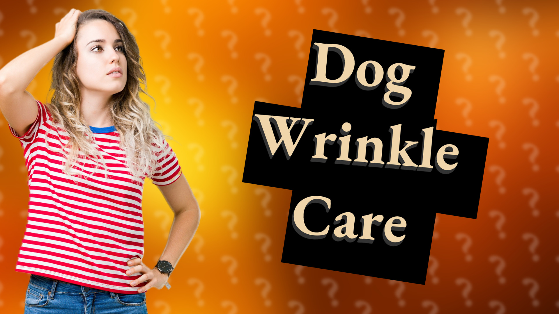Dog Wrinkle Care