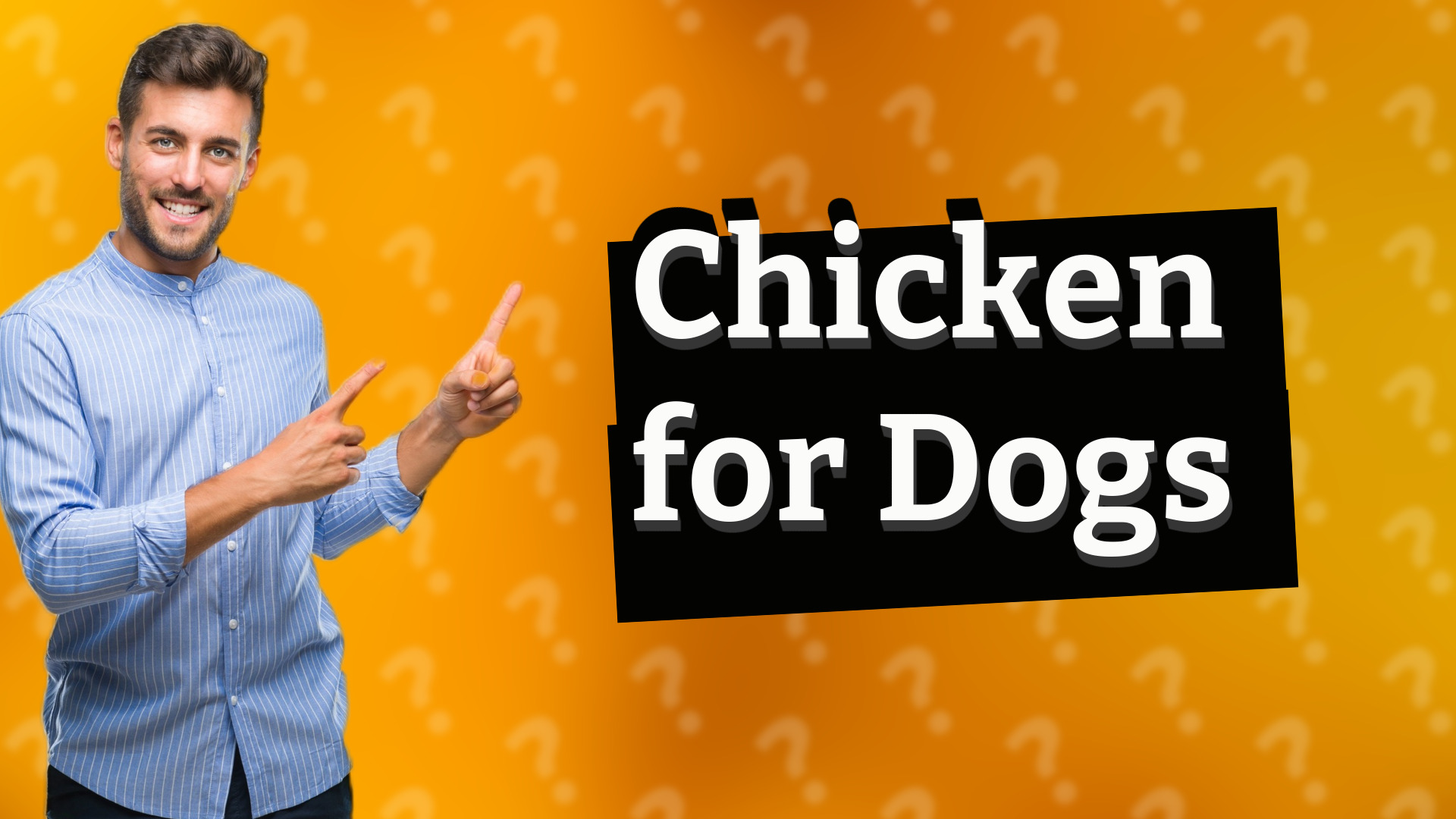 Chicken for Dogs