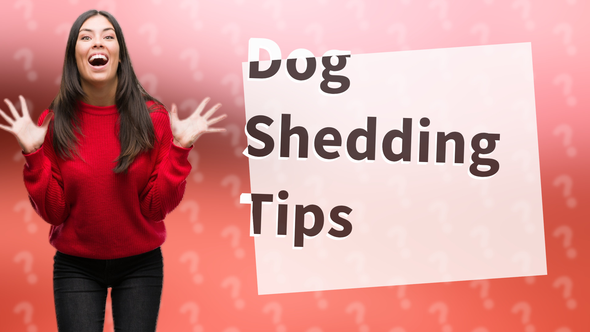 Dog Shedding Tips