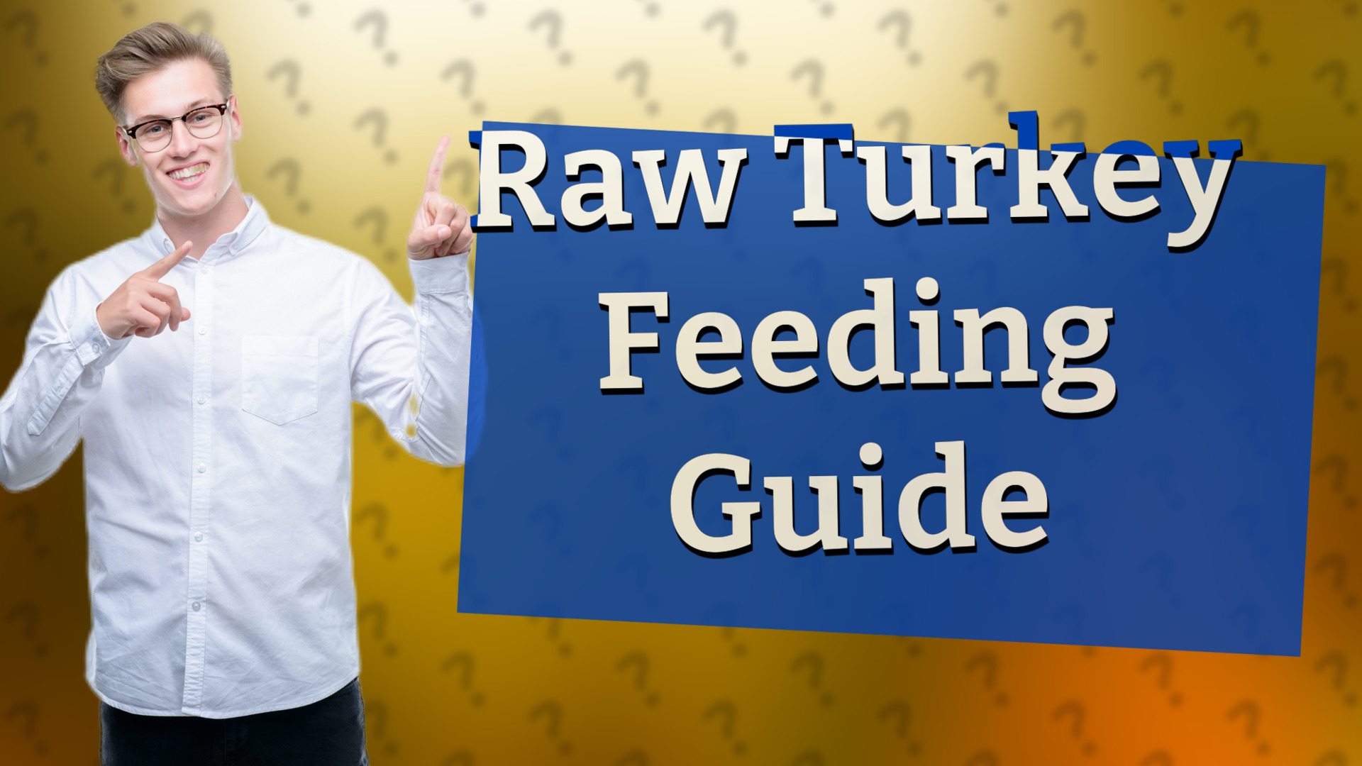 Raw Turkey Feeding Guide