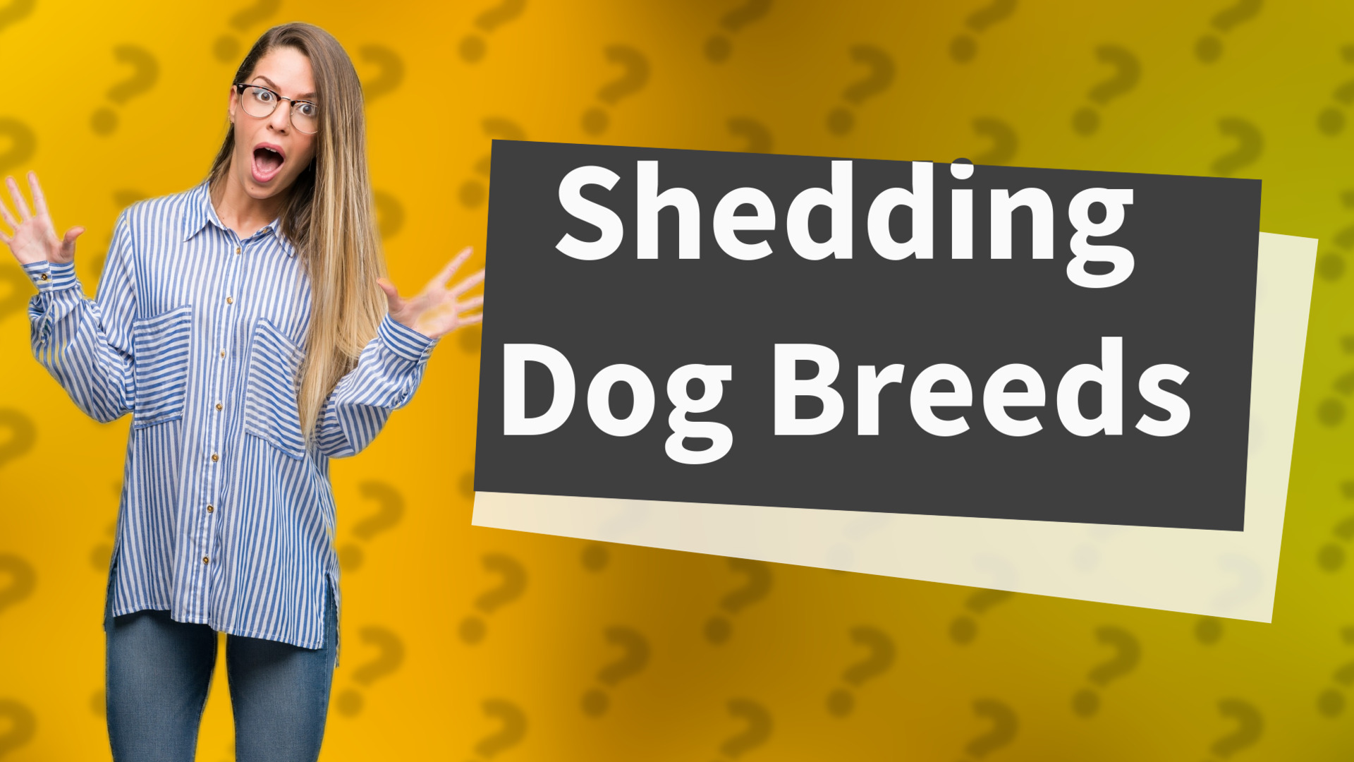 Shedding Dog Breeds